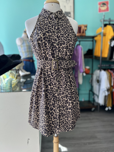 Maeve Size 6 Dresses