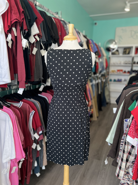 Loft  Size 6P Dresses