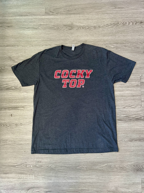 Next Level  Size XL Tops