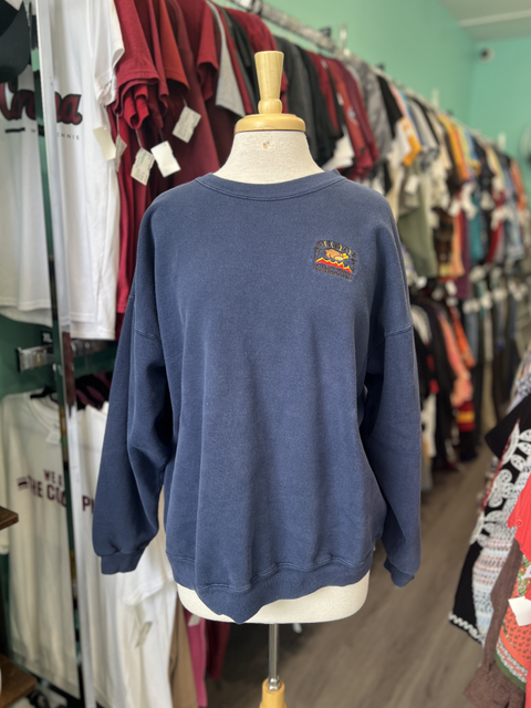 Hanes  Size L Tops