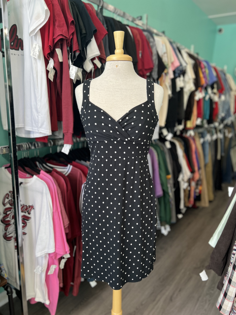 Loft  Size 6P Dresses
