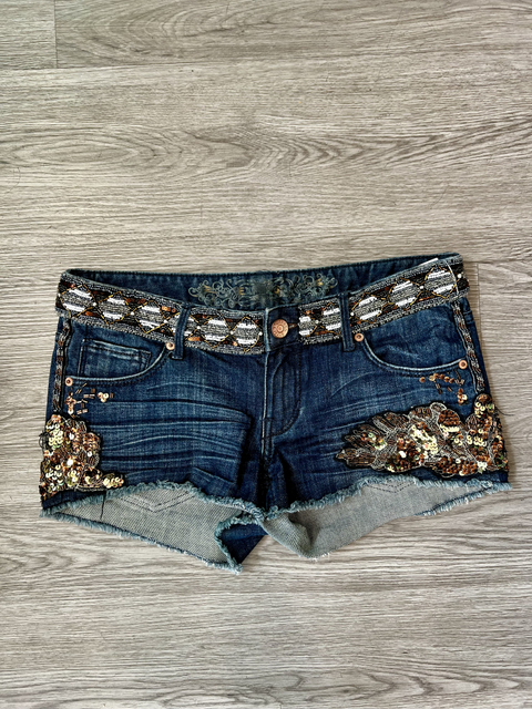 Express  Size 4 Bottoms