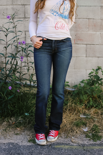 J Brand  Size 26/2 Bottoms