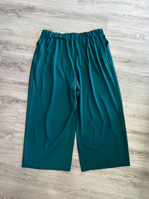 Halara  Size 2X Bottoms