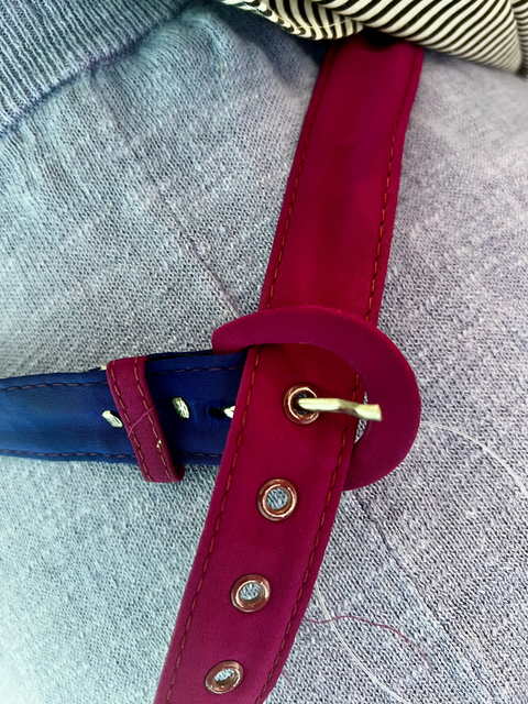 No Label  Belt