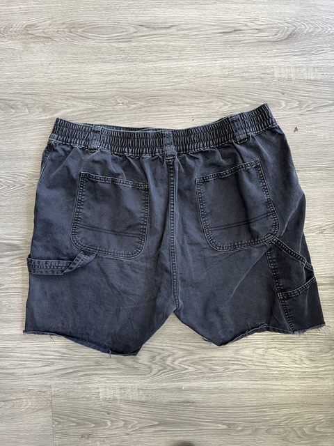 BDG  Size XL Bottoms