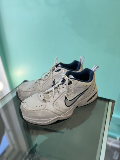 Nike  Size 12 Shoes